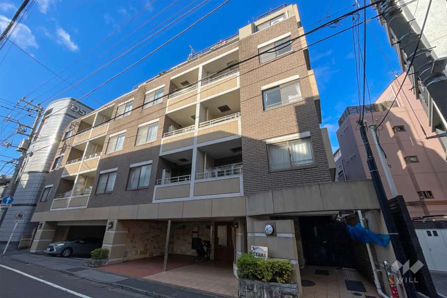 セーナ中野の外観（南東側から）