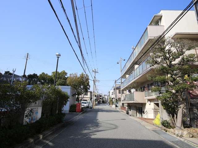 敷地南側の前面道路。周辺は閑静な住宅地です。