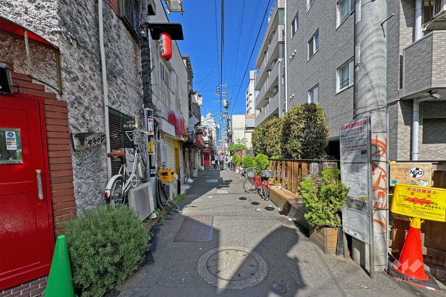 敷地の西側前面道路（南側から）