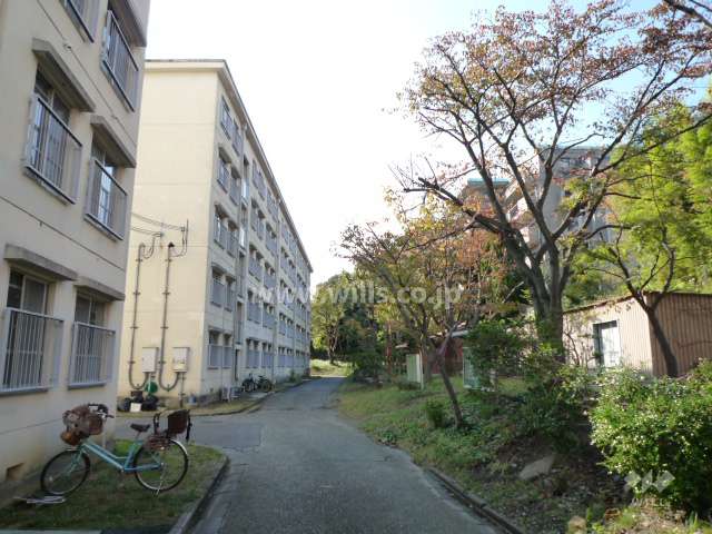 マンションの南側に団地があります