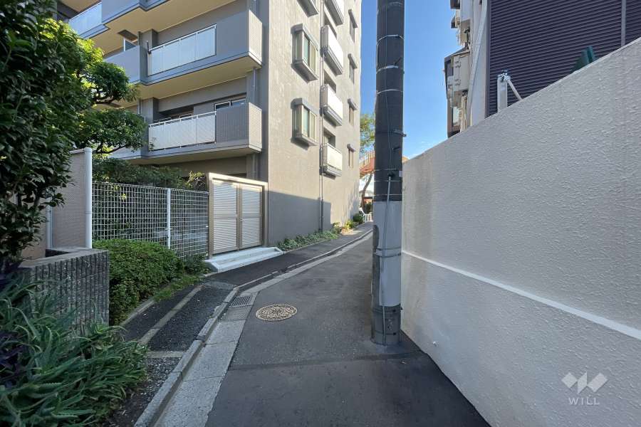 敷地南側の前面道路（西側から）