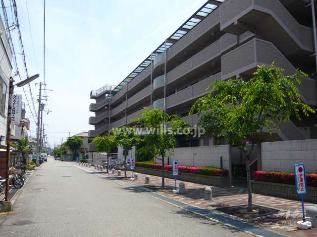 敷地北側の前面道路。周辺は区画の整った住宅地です。