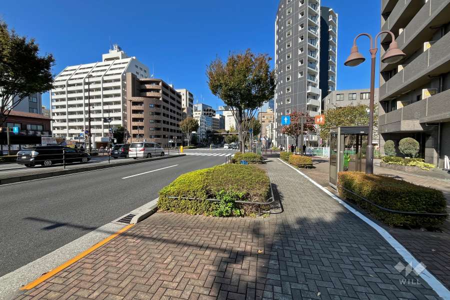 敷地西側の前面道路（南側から）