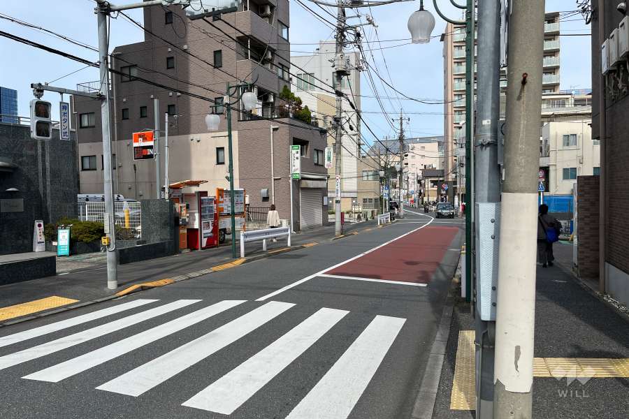 敷地の西側前面道路（南側から）