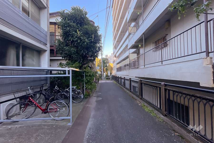 敷地北側の前面道路（西側から）