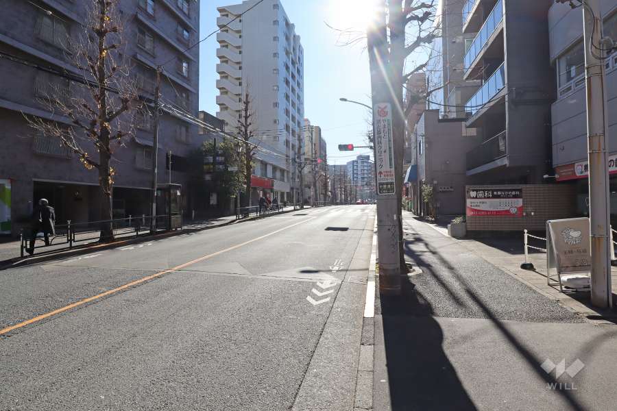 敷地の西側の前面道路（北側から）