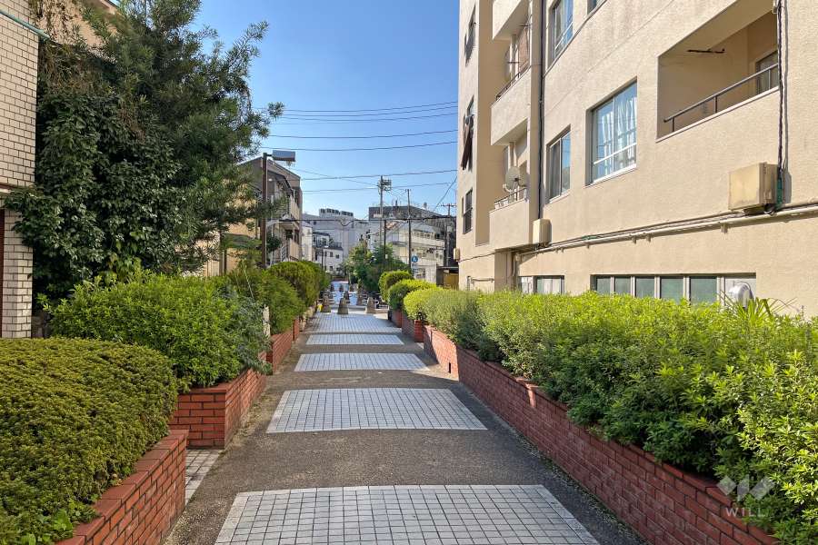 敷地南側の前面道路（東側から）