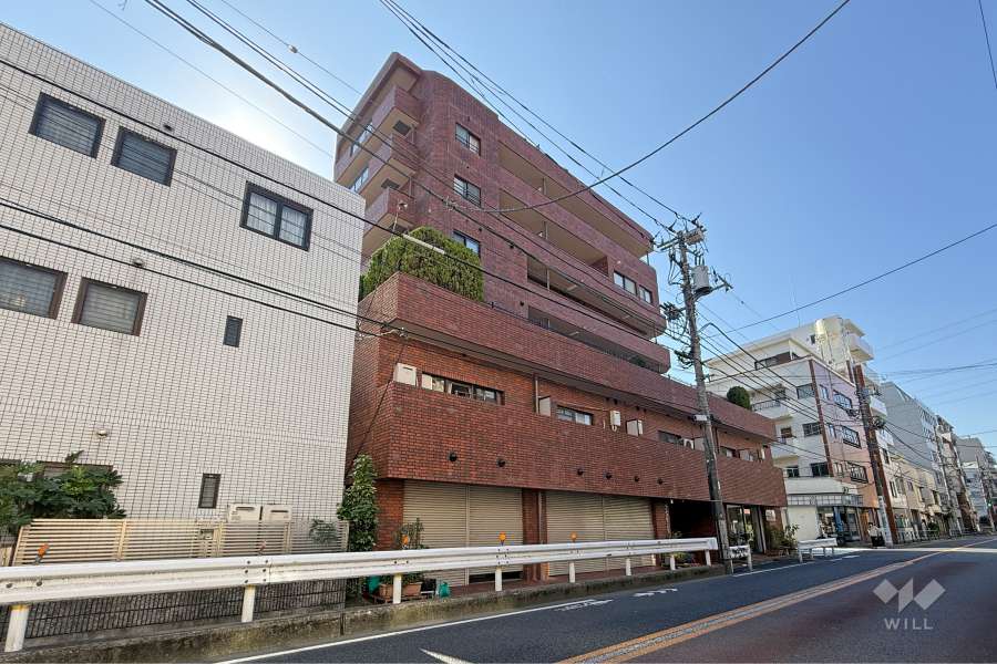 サンメゾン中野の外観（北東側から）