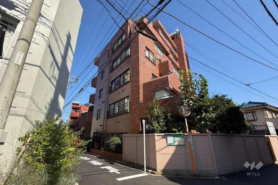 サンメゾン中野の外観（南西側から）