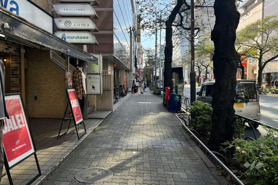 敷地の西側前面道路（北側から）