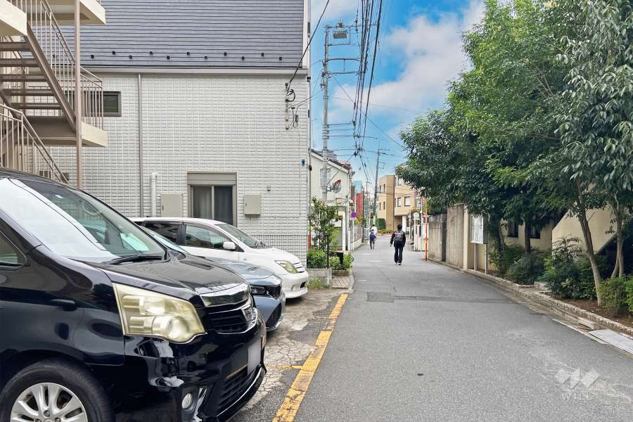 敷地の西側前面道路（北側から）