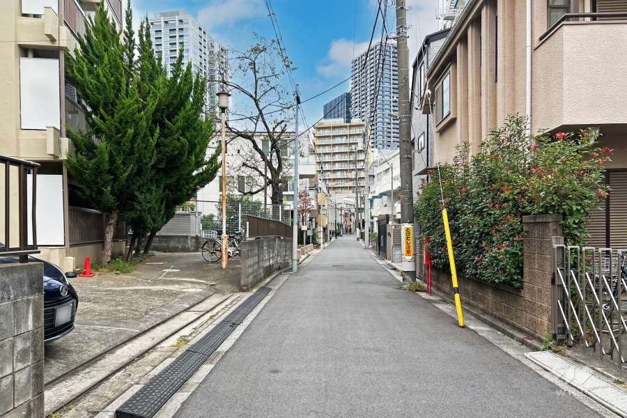 敷地の南東側前面道路（南西側から）