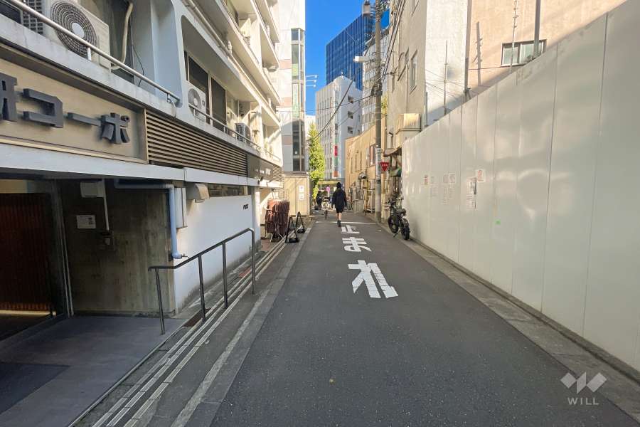 敷地南東側の前面道路（南西側から）