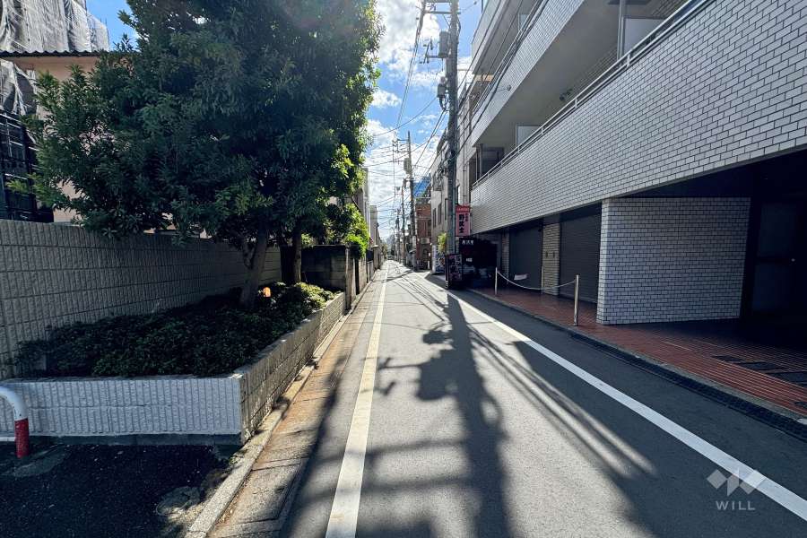 敷地東側の前面道路（北側から）