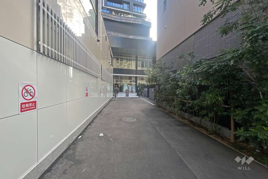 敷地の北側前面道路（西側から）