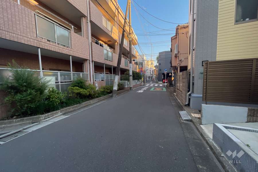 敷地の西側前面道路（北側から）