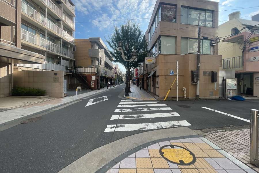 敷地北側の前面道路