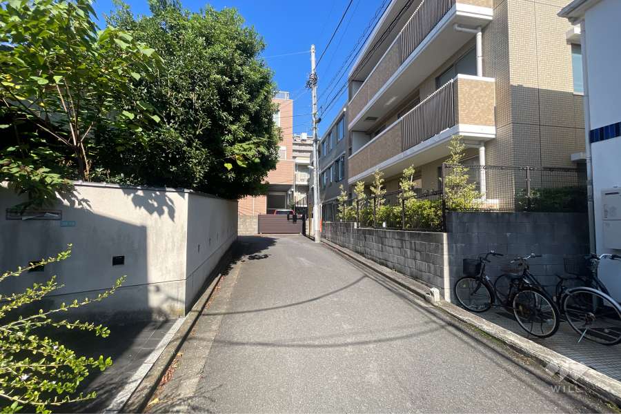 敷地の西側前面道路（南側から）