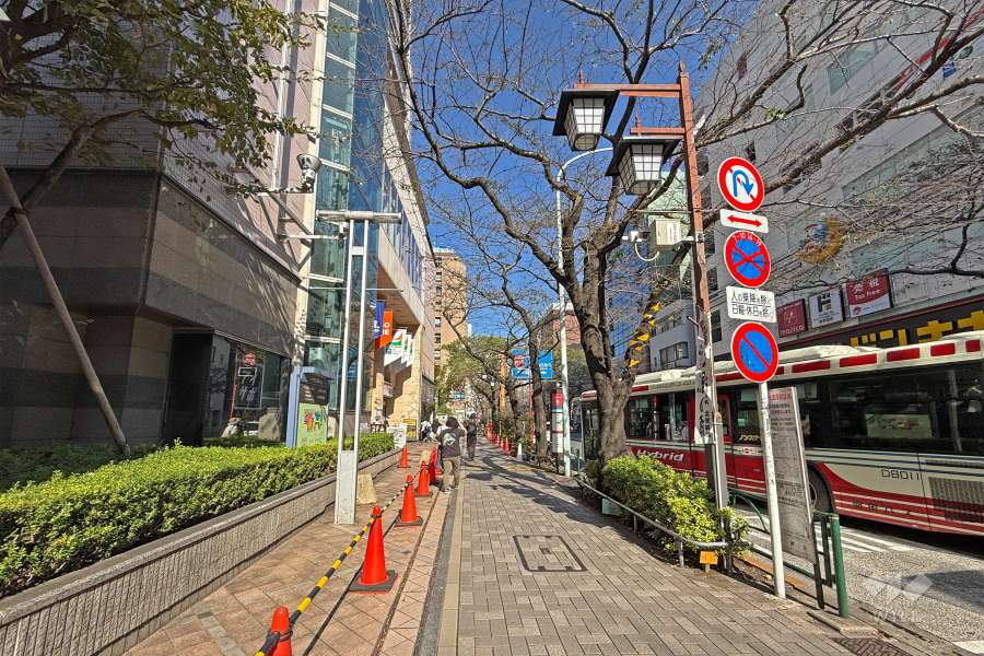 敷地東側の前面道路（中野通り）