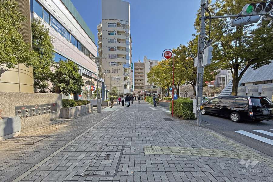 敷地南側の前面道路（西側から）