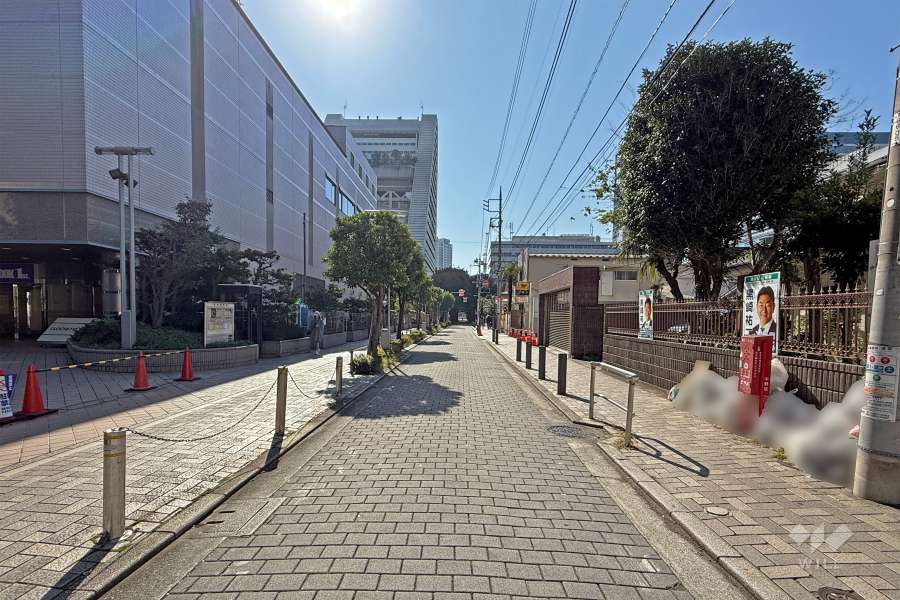 敷地西側の前面道路（北側から）