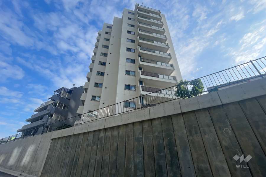 中野パークハウスの外観（南西側から）