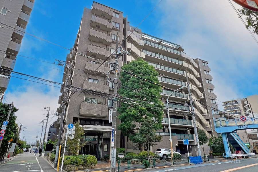 グランヌーブ中野の外観（北東側から）