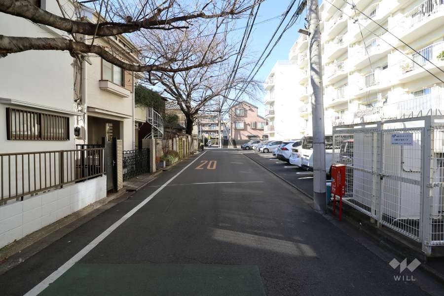 敷地の南側の前面道路（東側から）