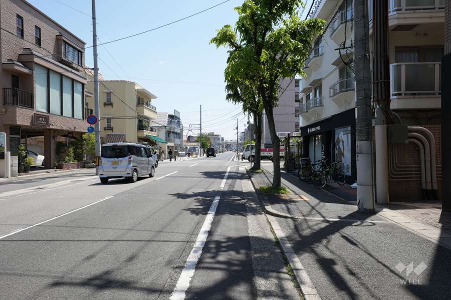 敷地北東側の前面道路（西側から）