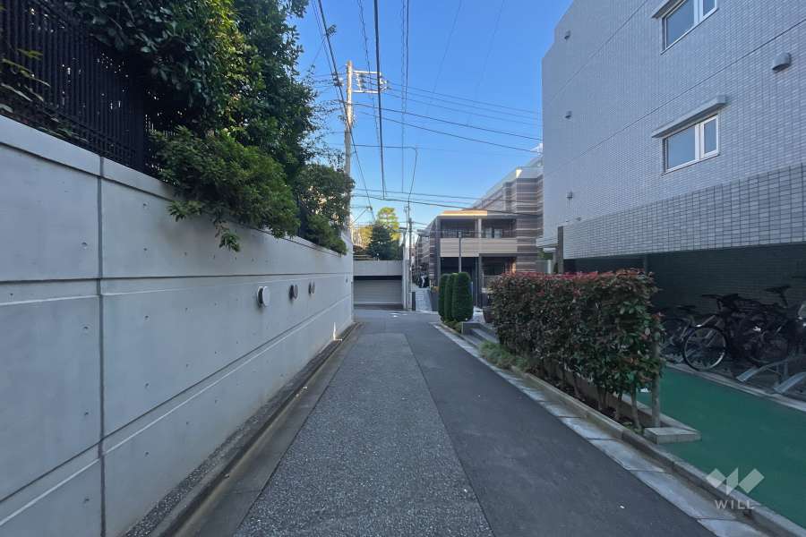 敷地南側の前面道路（西側から）
