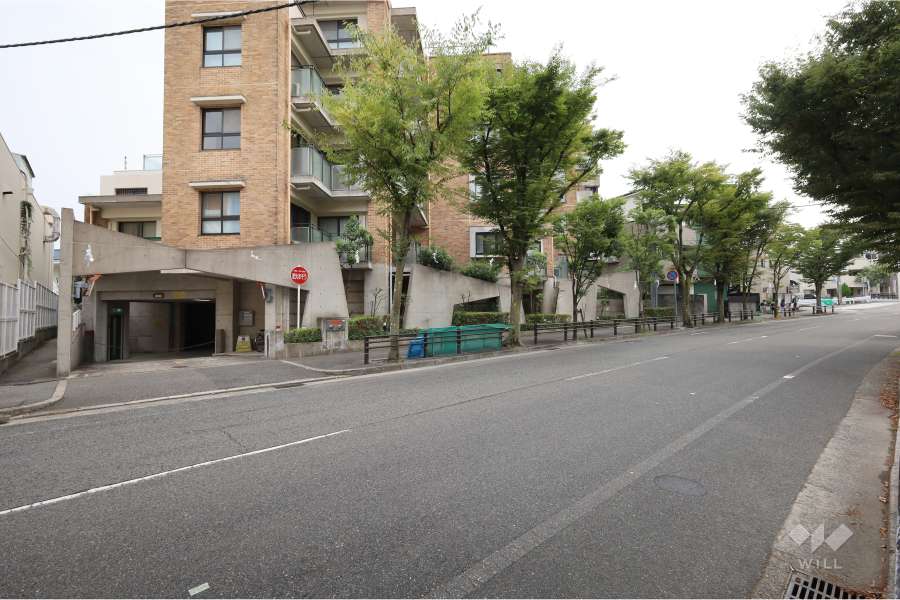 敷地北西側の前面道路（北東側から）