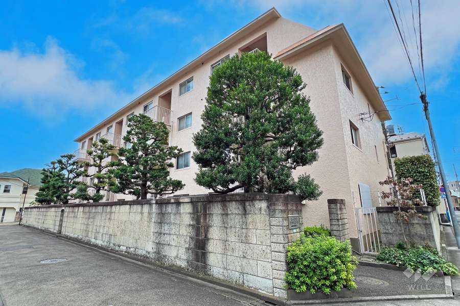 東中野台ローヤルコーポの外観（北側から）