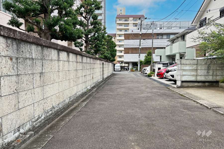 敷地の北東側前面道路（南東側から）