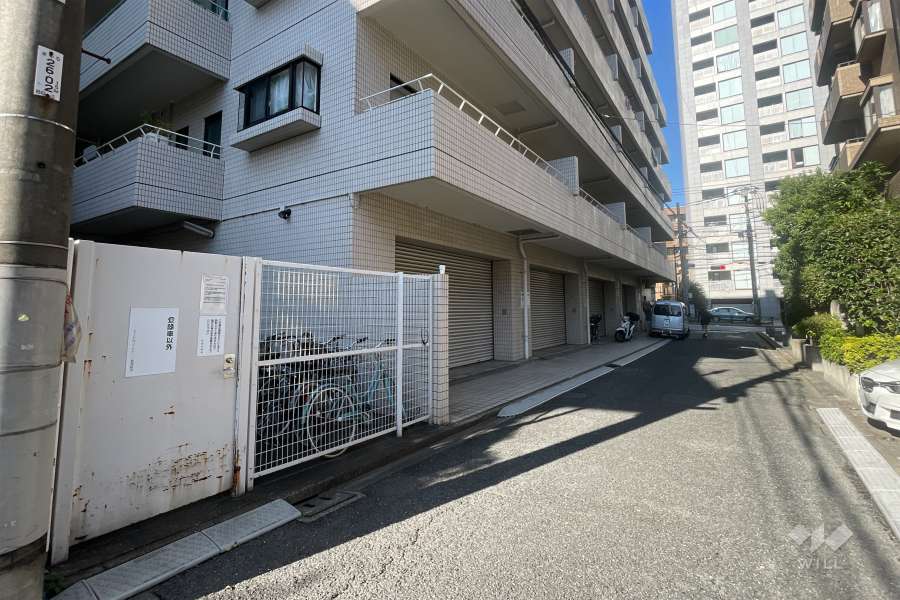 敷地の東側前面道路（南側から）