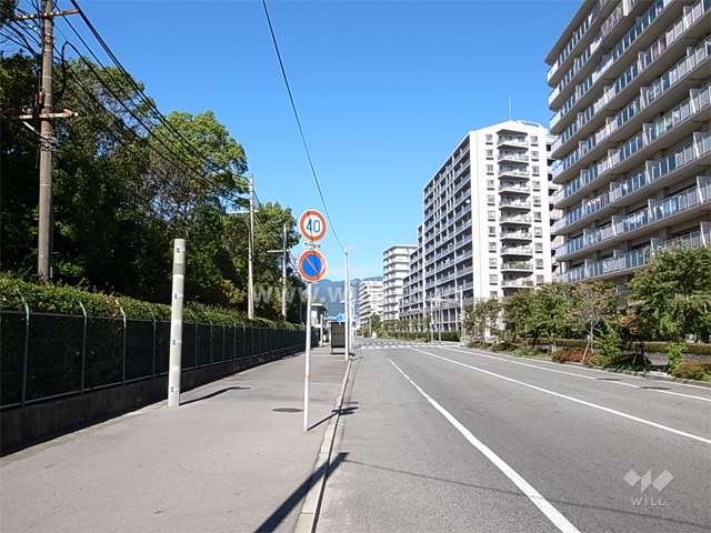 敷地南側の通り。周辺には工場もありますが、マンションが多く建ち並んでいます。