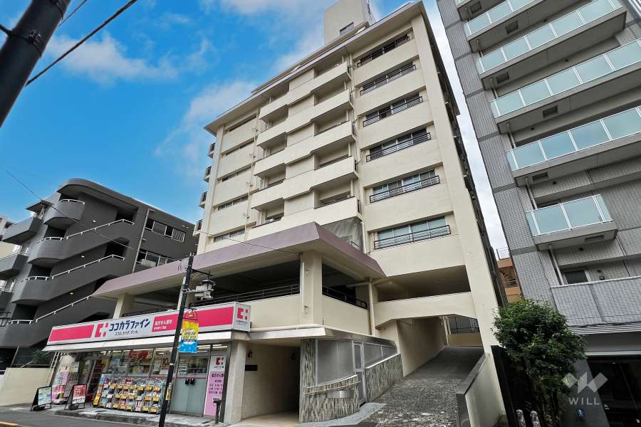 ハイネス東中野の外観（西側から）