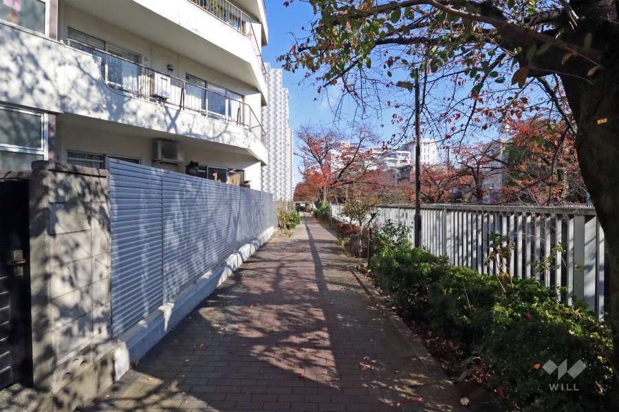 敷地南側の前面道路は神田川に面しています（西側から)