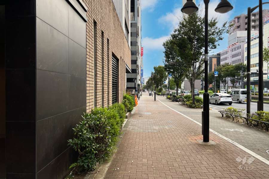 敷地西側の前面道路