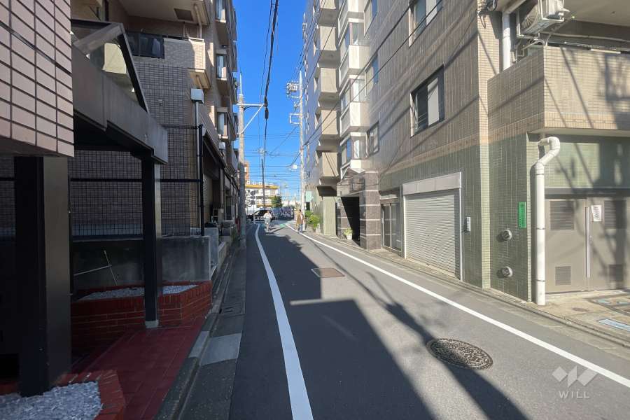 敷地の西側前面道路（南側から）