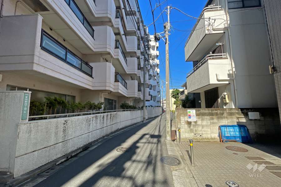 敷地の北側前面道路（東側から）