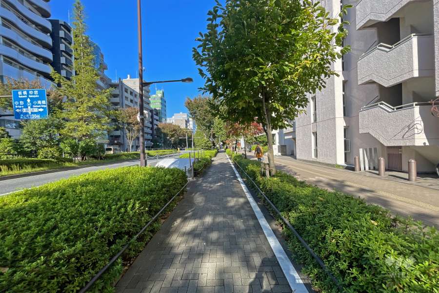 敷地の西側前面道路は山手通りです（南側から）。