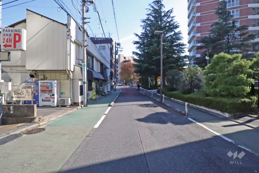 敷地北側の前面道路(西側から)