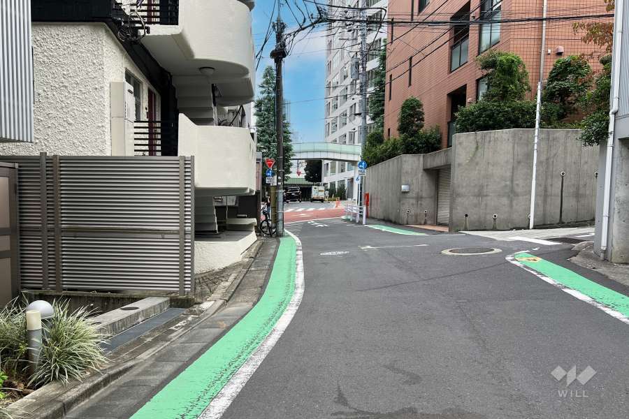 敷地の北西側前面道路（北東側から）