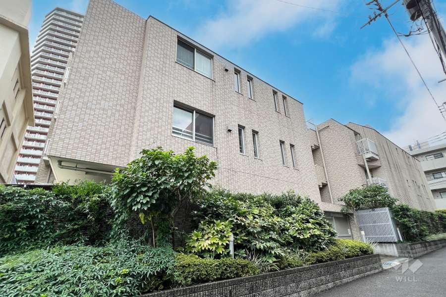 ブランズ東中野プレシアスの外観（東側から）