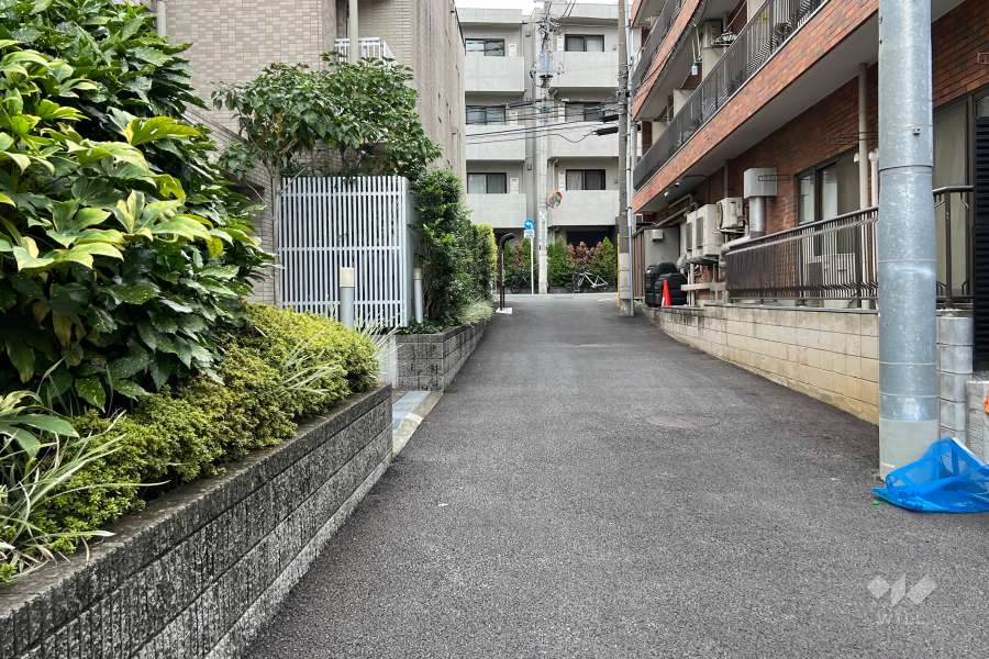 敷地の北東側前面道路（南東側から）