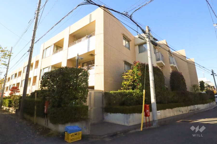 クレッセント東中野レジデンスの外観(南東側から)