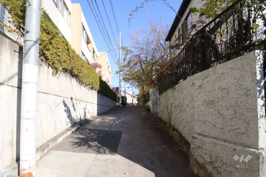 敷地南側の前面道路(西側から)