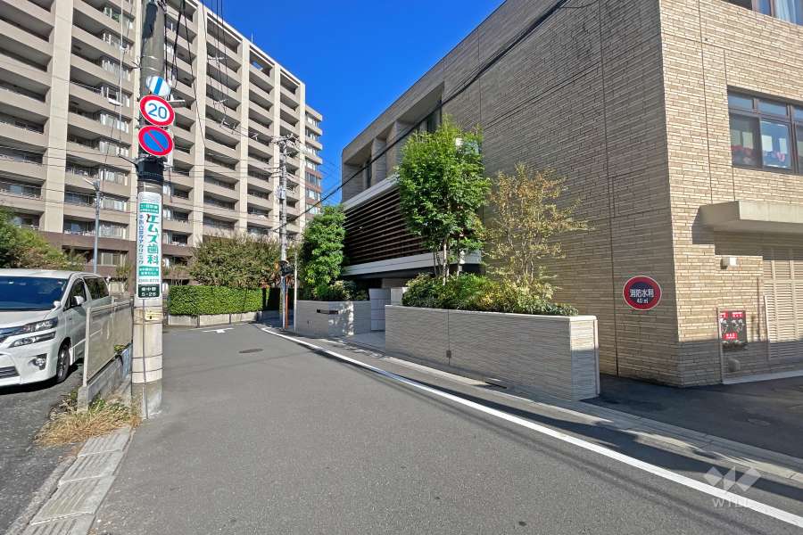 敷地の西側前面道路（南側から）