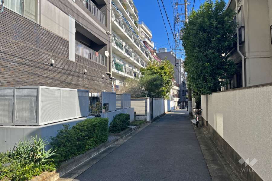 敷地南側の前面道路（西側から）