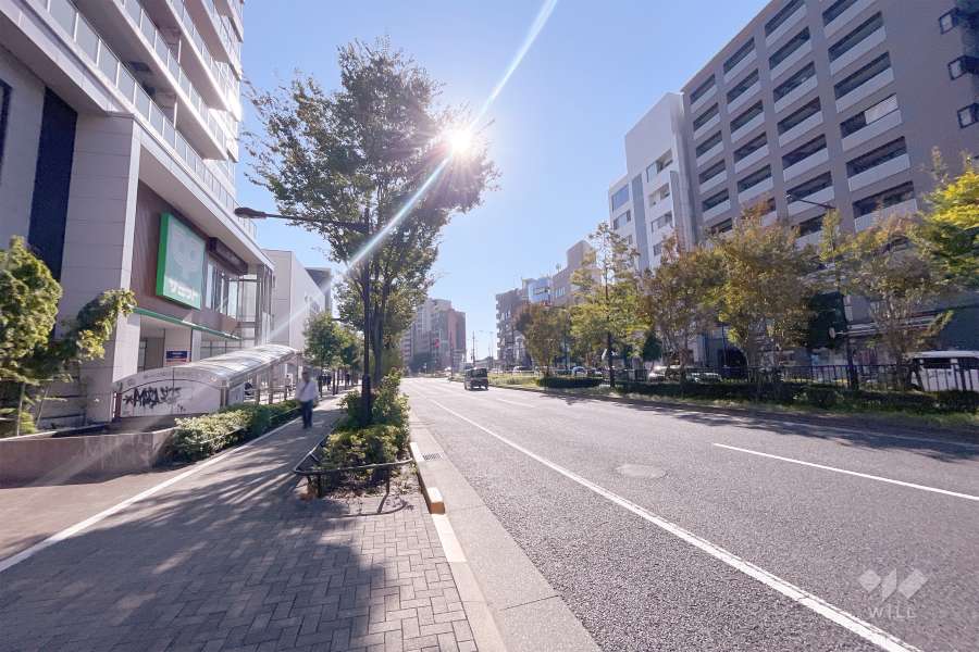 敷地西側の前面道路（北側から）